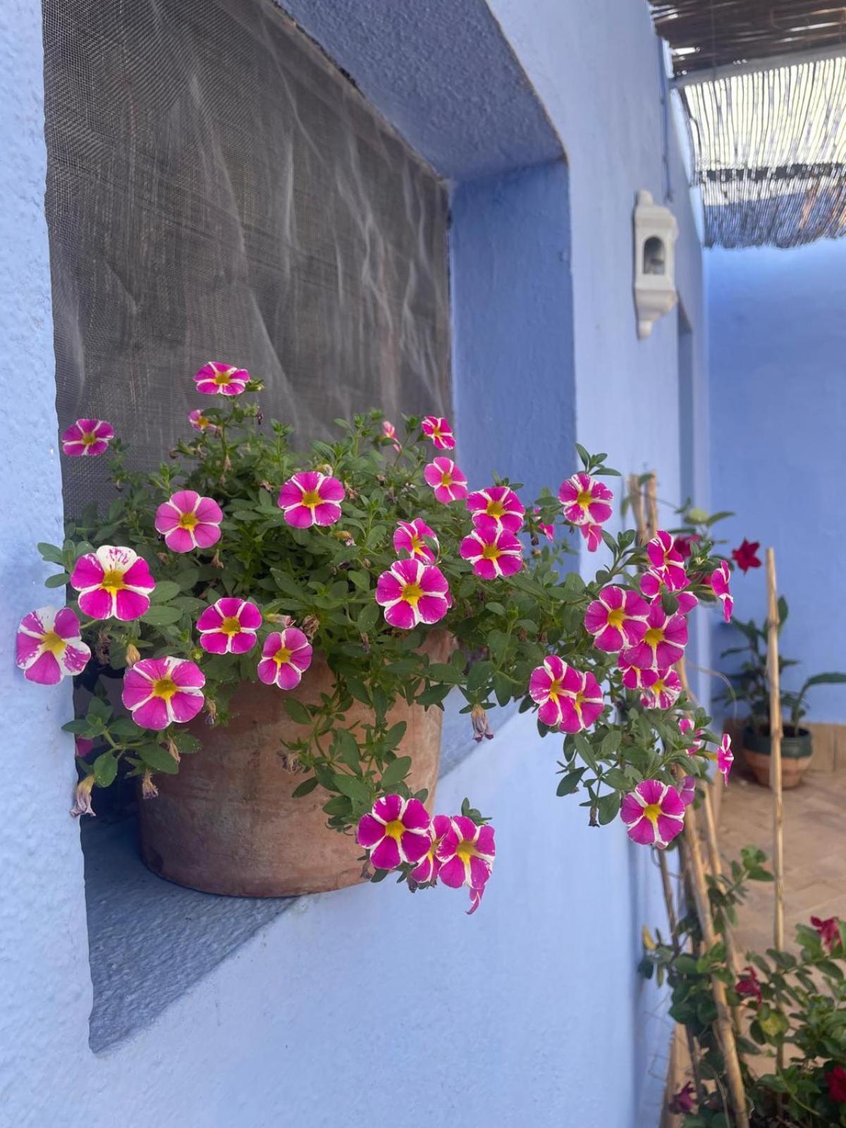 Cortijo Las Gallardas En Almeria Los Gallardos Exterior foto